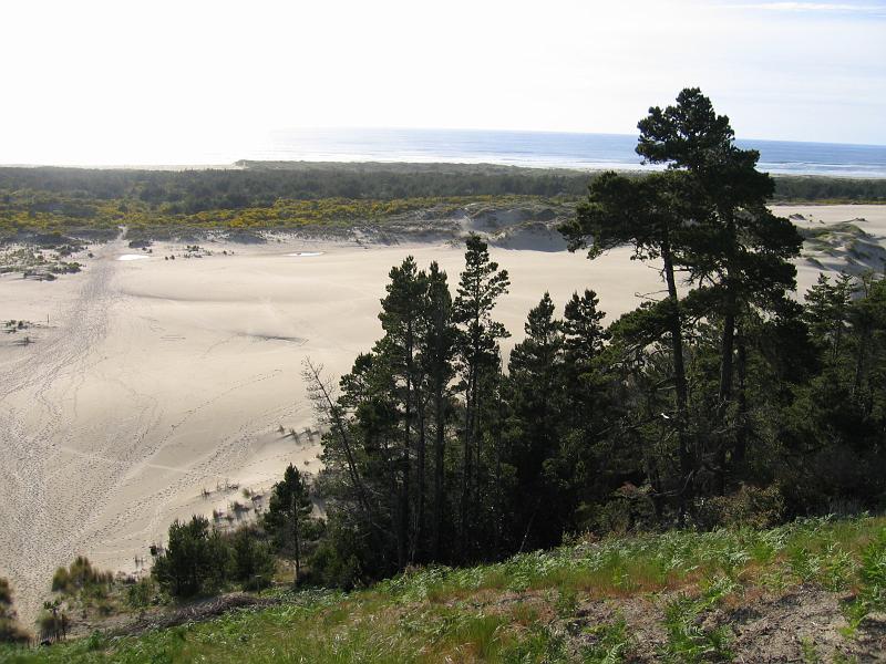 Oregon Dunes (2).JPG